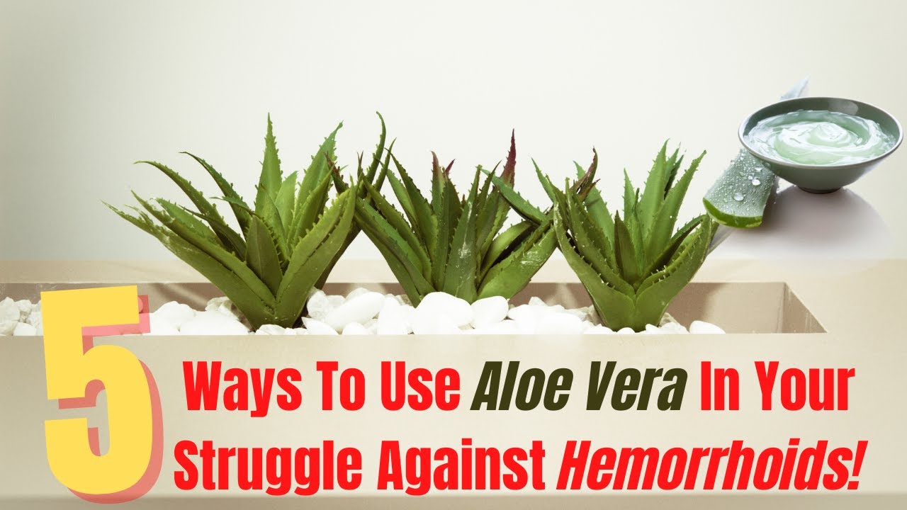 Video thumbnail for How To Use Aloe Vera For Hemorrhoids