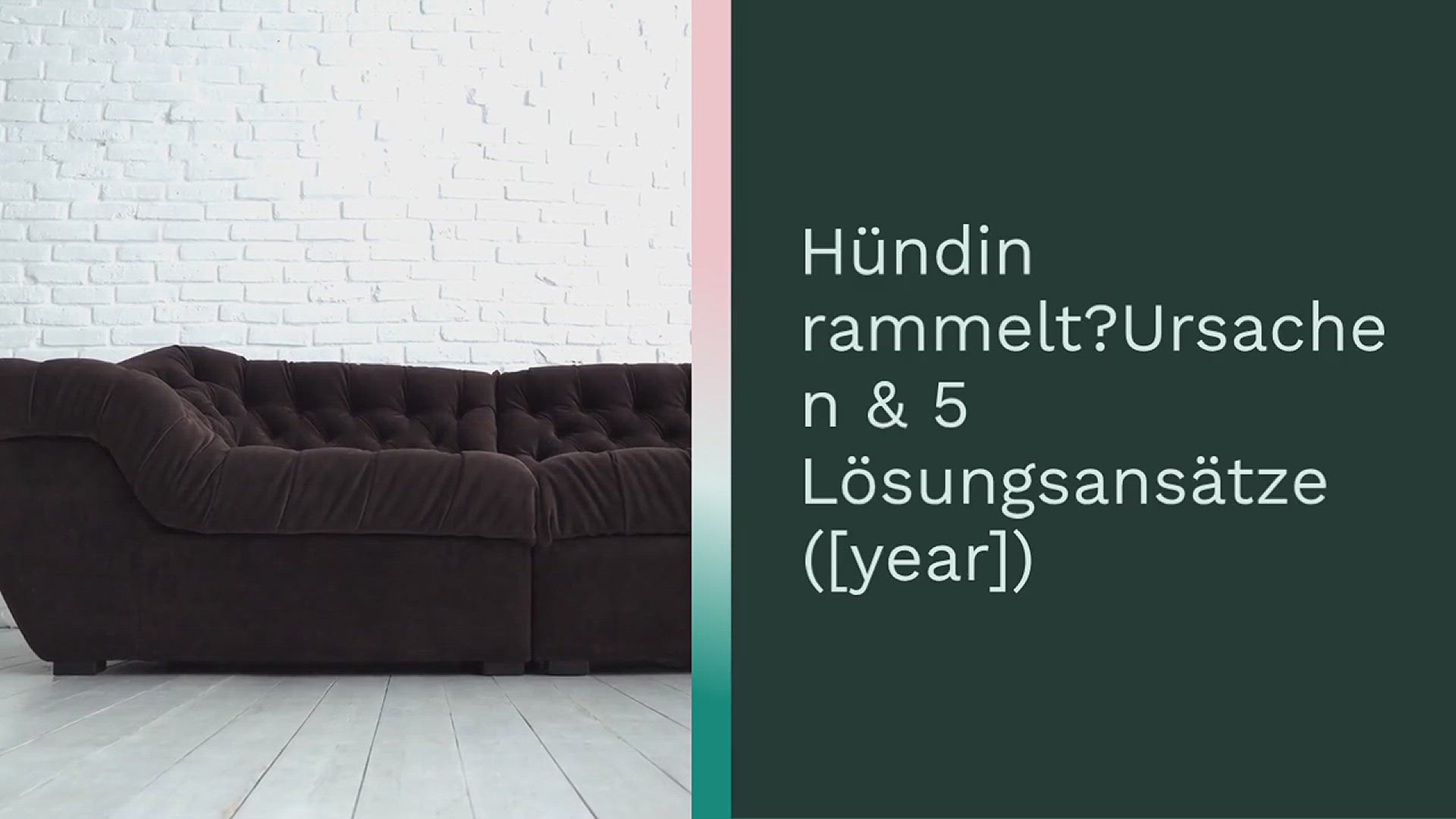 Hündin rammelt? Ursachen & 5 Lösungsansätze (2024) | Open Video