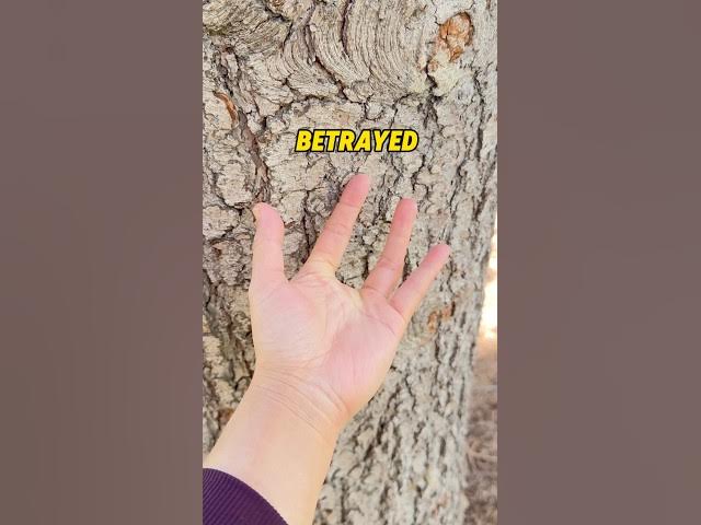 Video thumbnail for My Finger’s Been Like This Since ‘That’ #funny #storymoment #memes