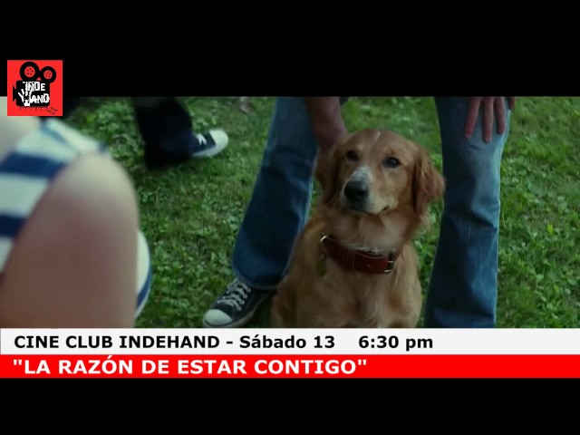 Video thumbnail for TRAILER LA RAZON DE ESTAR CONTIGO