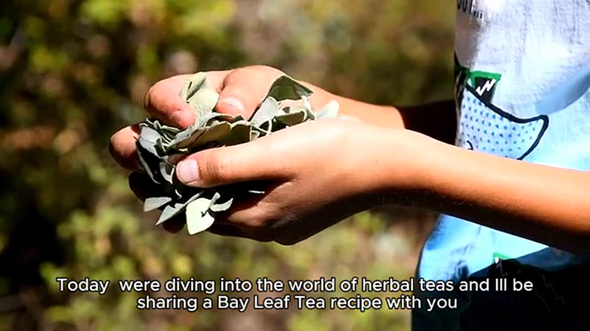 'Video thumbnail for Bay leaf recipe'