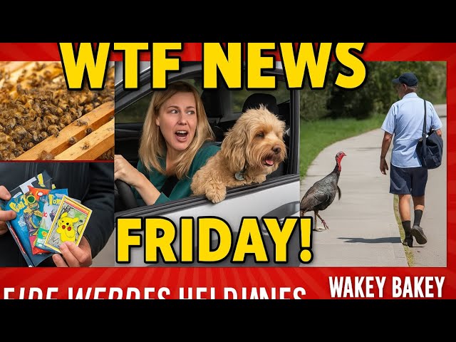 Video thumbnail for 🎙️ The Dumbest Criminals Ever Caught | True Crime Thursday | It’s 4:20 Somewhere Show