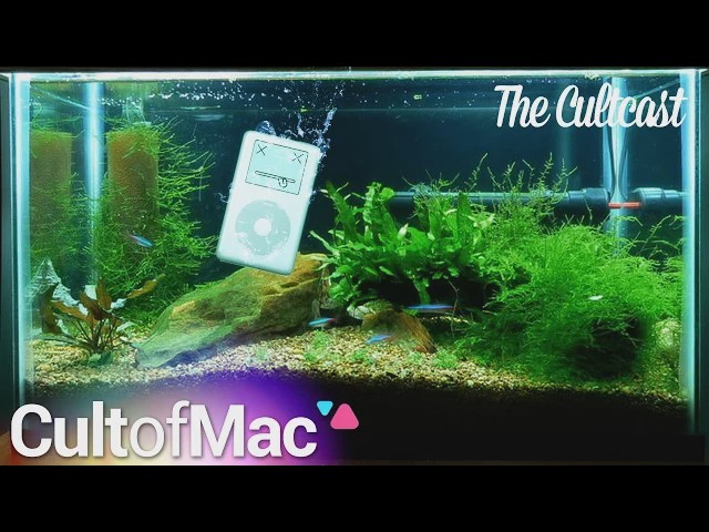 Video thumbnail for The Cultcast #154 - Brogrammers