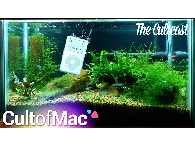 Video thumbnail for The Cultcast #154 - Brogrammers