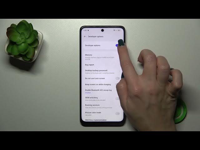 Video thumbnail for How to Hide Developer Options on REALME 11?