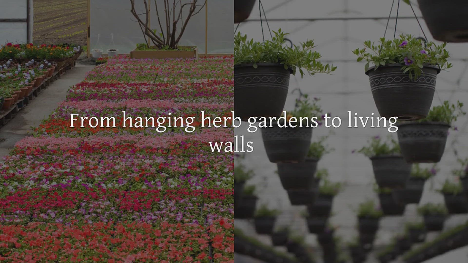 'Video thumbnail for Vertical Gardening Ideas to Transform Your Backyard'