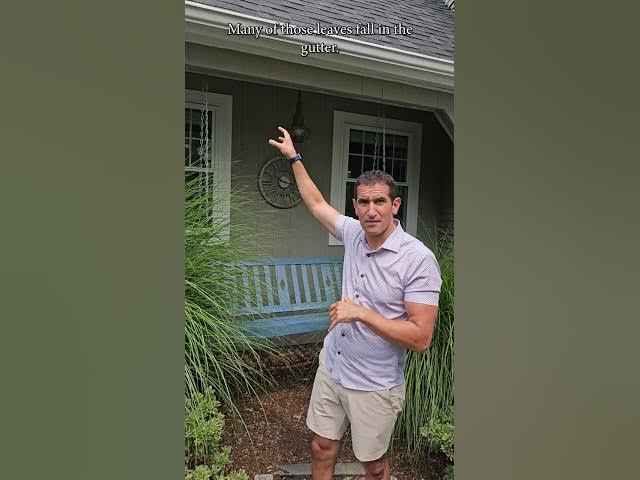 Video thumbnail for Wet Basement Underground Drainage