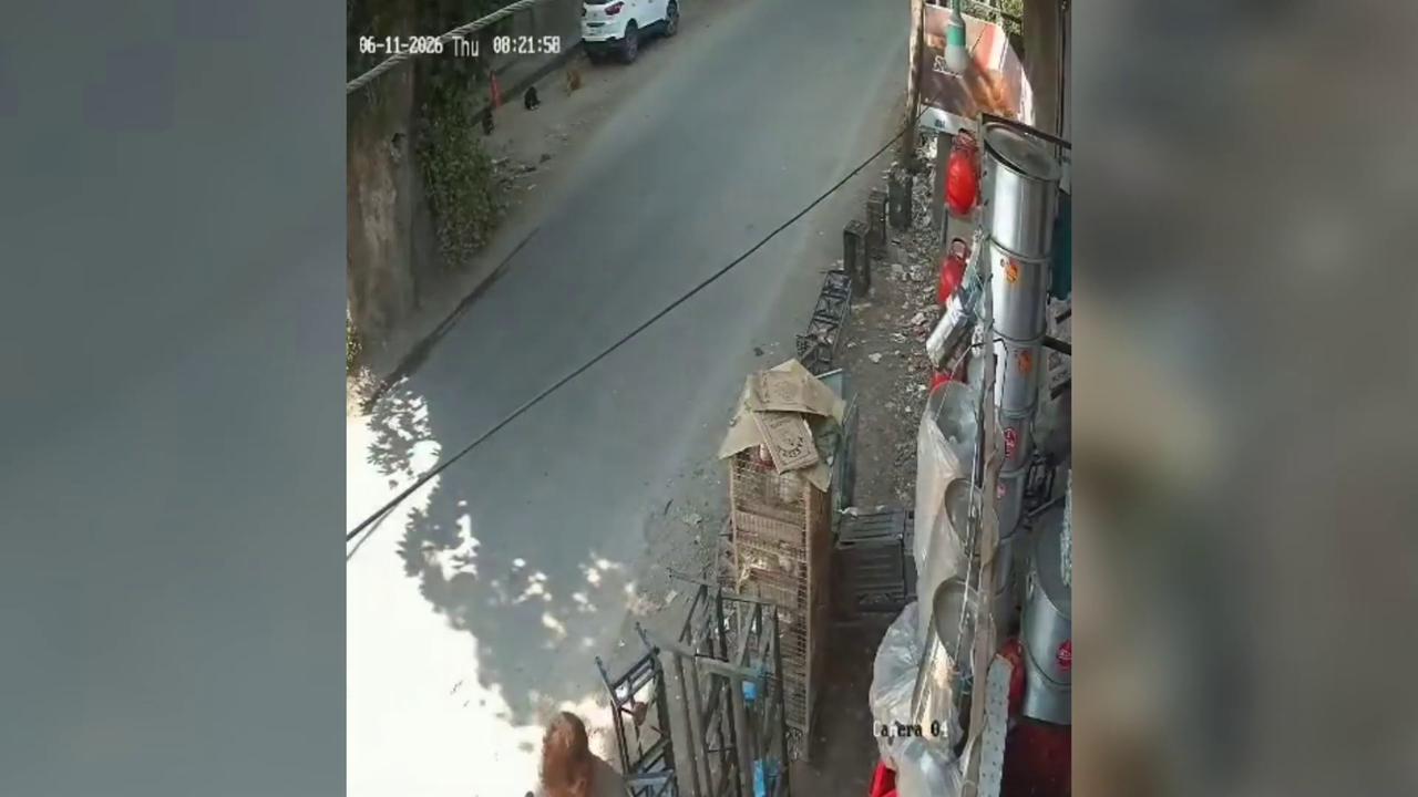 Video thumbnail for Boy suffers serious road mishap after entering busy traffic lane, getting struck by vehicle.