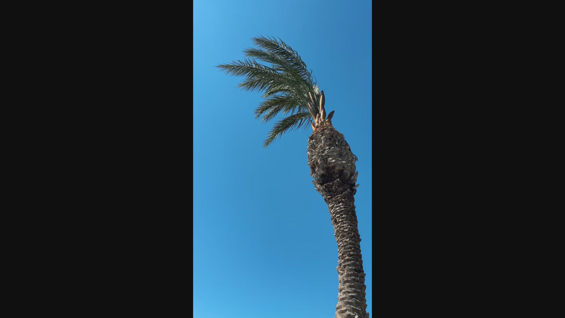 'Video thumbnail for Exploring Los Angeles' Climate: Best Times to Visit and What to Expect'