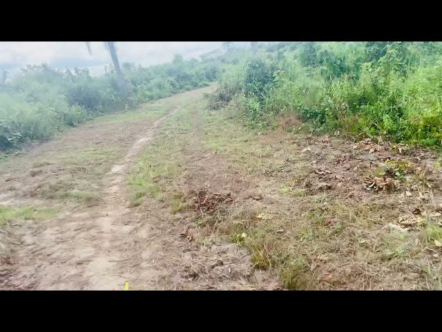 Video thumbnail for Farm Road Project in Bong County.. Deβ N Dee Farm