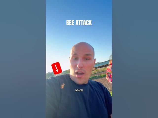 Video thumbnail for Bee attack during the gluten free ice cream taco food review at Cook Farm! #food