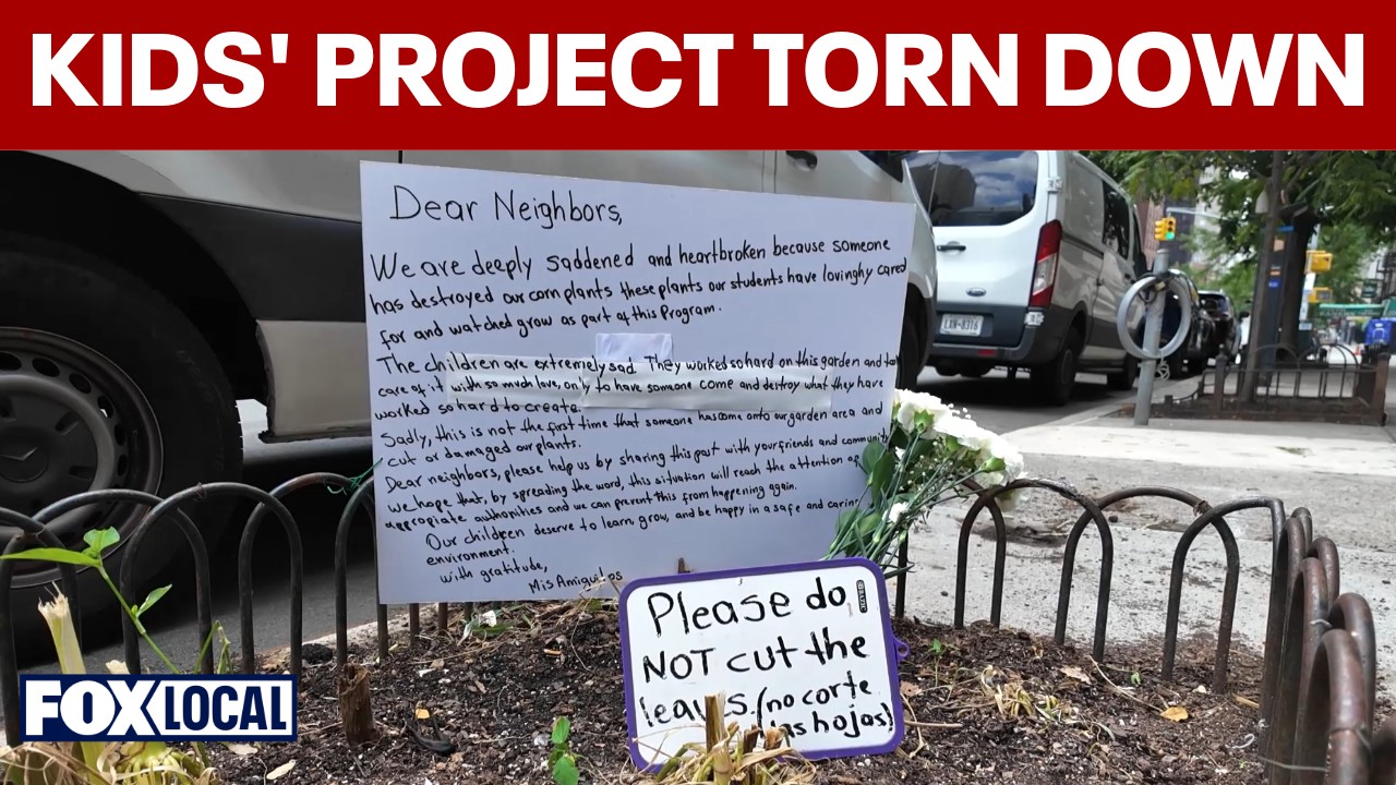 Video thumbnail for Kids' corn project chopped down on Upper East Side