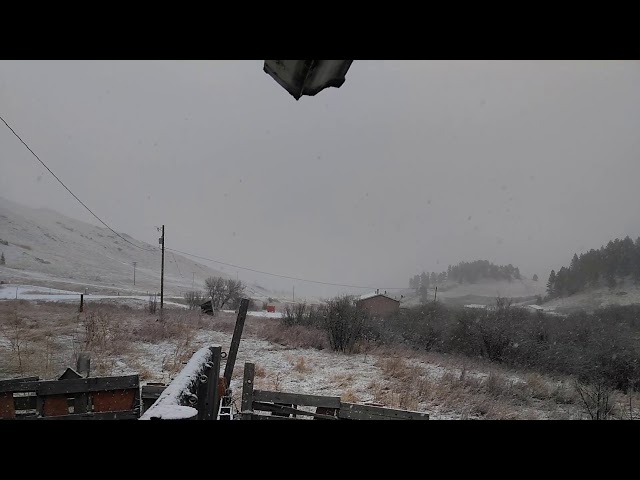 Video thumbnail for LET IT ❄ ❄ SNOW