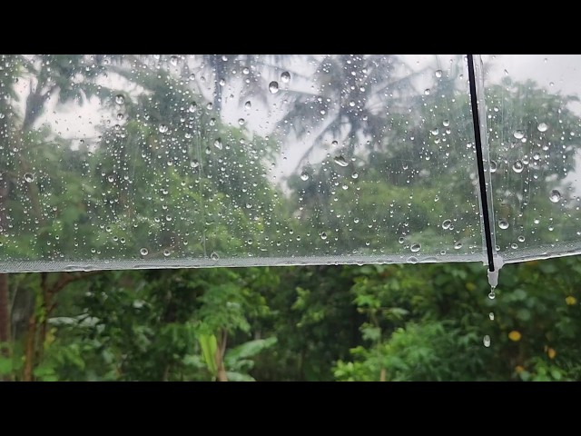 Video thumbnail for Rain