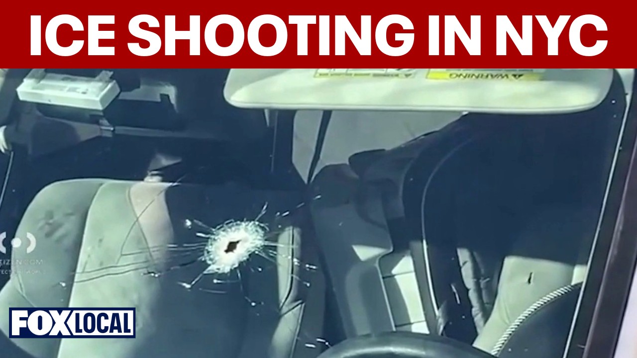 Video thumbnail for Former NYPD detective analyzes ICE shooting in NYC
