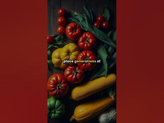 Video thumbnail for South Kingstown farm matriarch turns 100