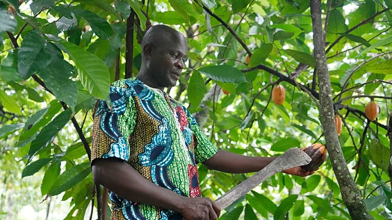 Video thumbnail for Ivory Coast, Ghana seek to create cocoa 'OPEC'
