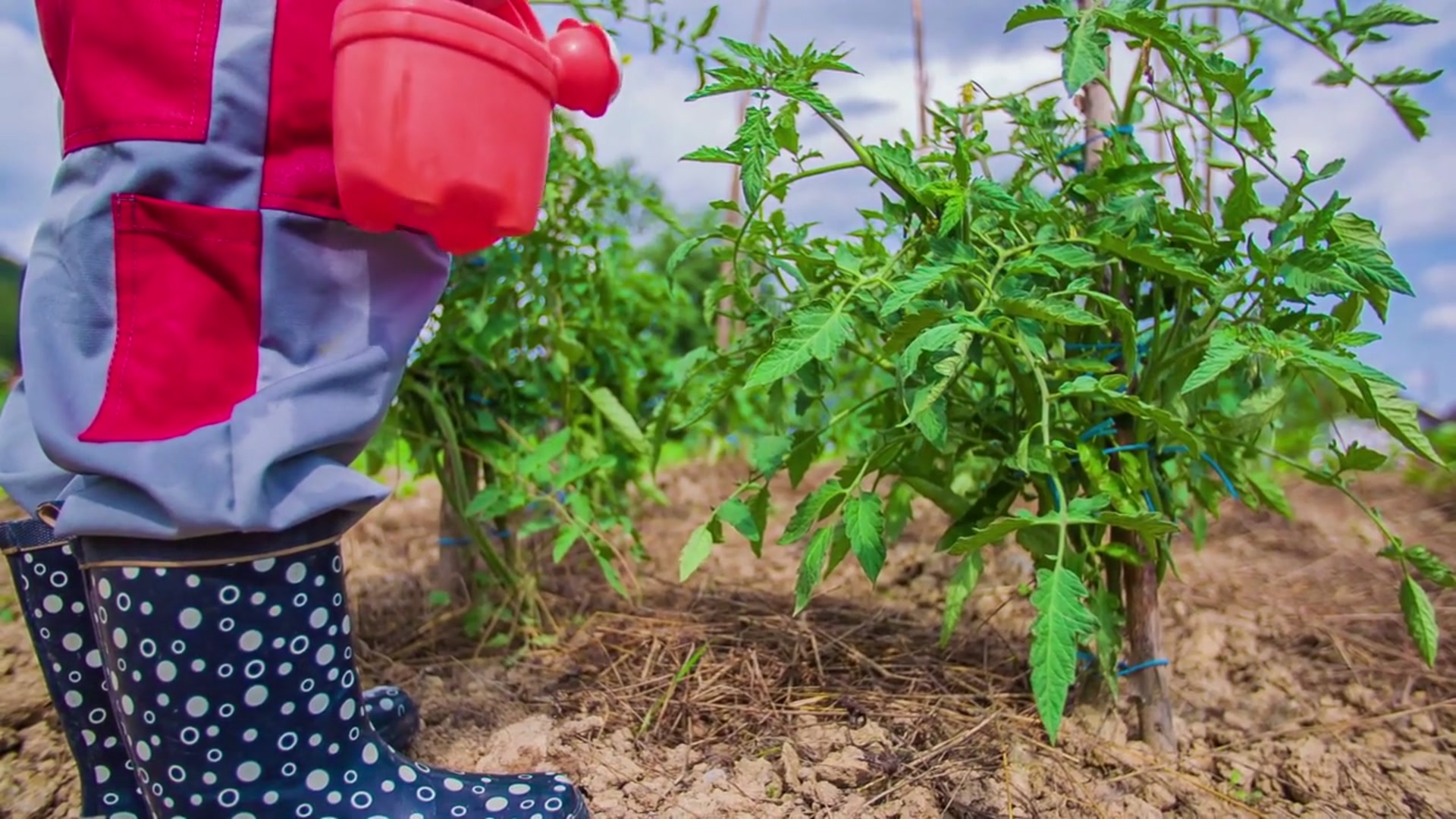 Video thumbnail for Tips for Healthy Roots