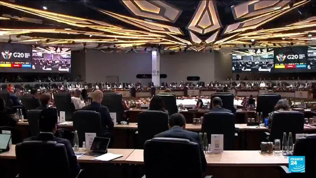 Video thumbnail for G20 declaration adopted unanimously: World leaders defy US boycott to summit in Africa