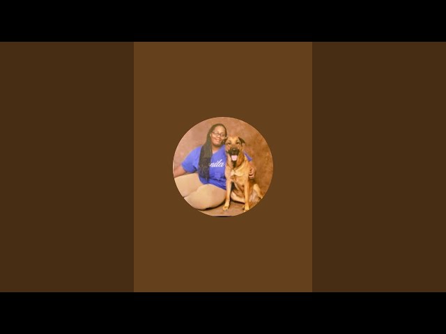 Video thumbnail for 7 Dogs 7 Day Vet Visits