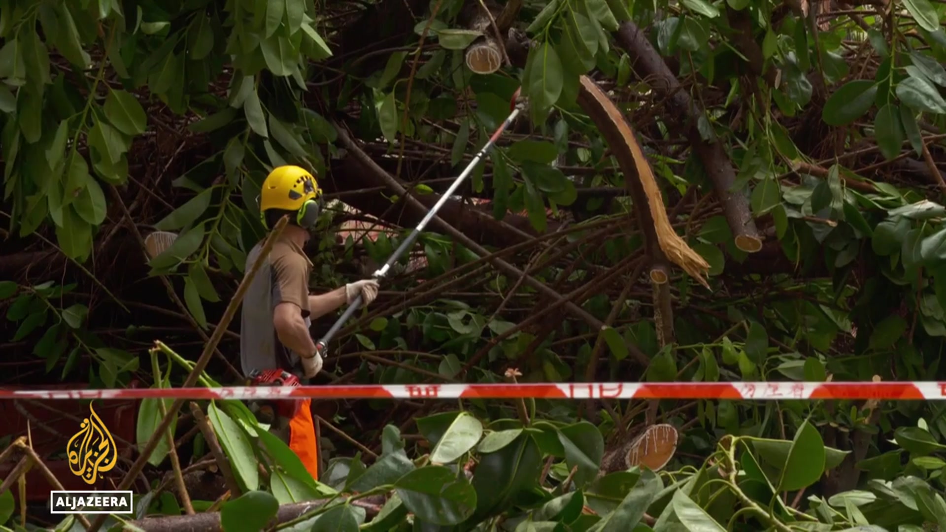 'Video thumbnail for Hong Kong designers upcycle typhoon-felled trees into sustainable furniture'