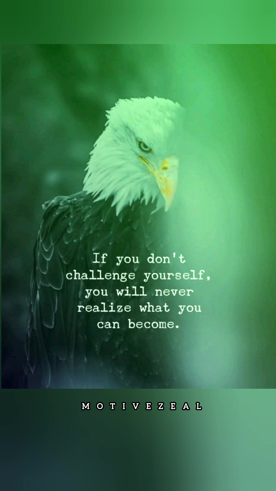 Video thumbnail for Challenge your life