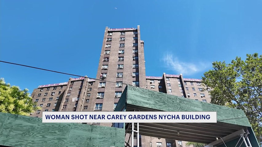 Video thumbnail for Suspect in custody in shooting of woman outside Coney Island NYCHA building