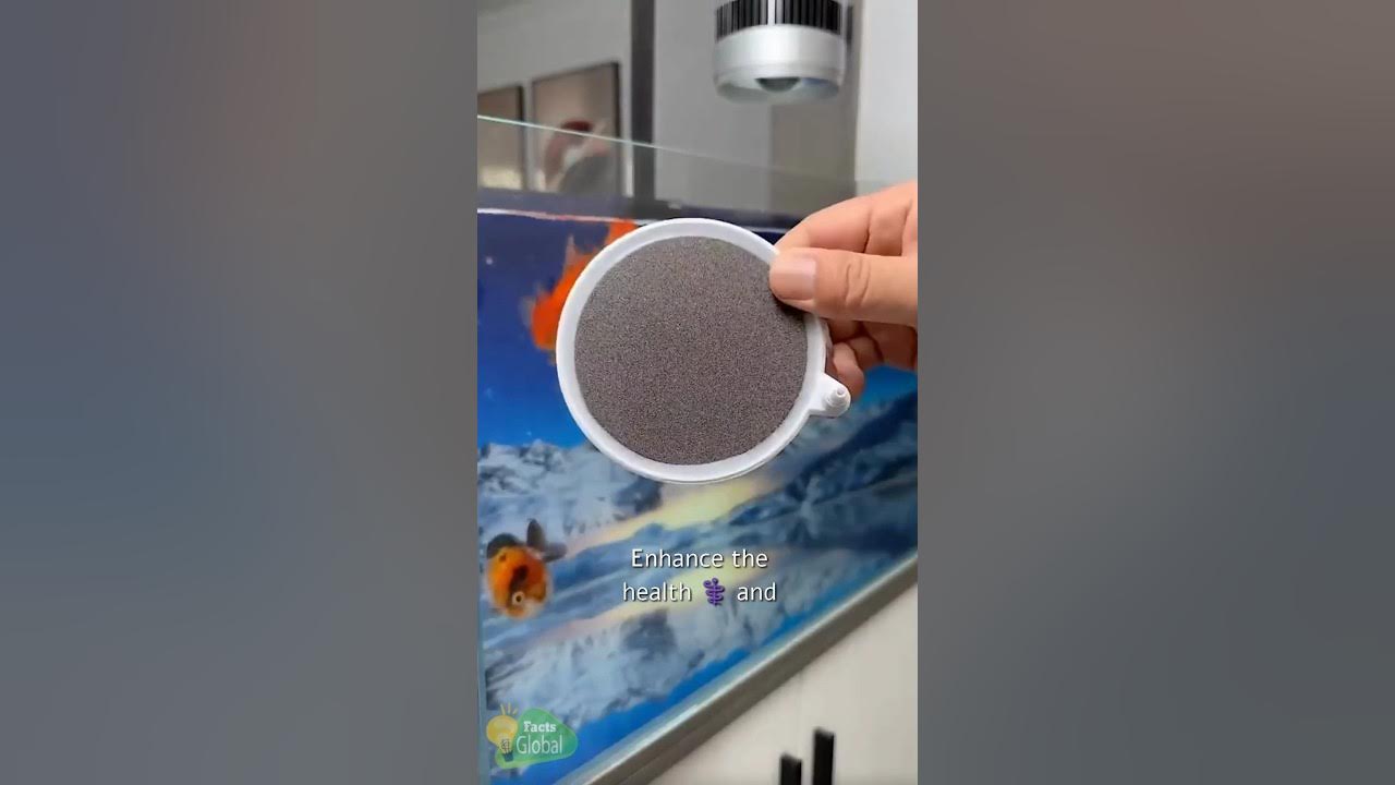 Video thumbnail for 6 Game-Changing Gadgets for Everyday Life! #shorts #gadgets