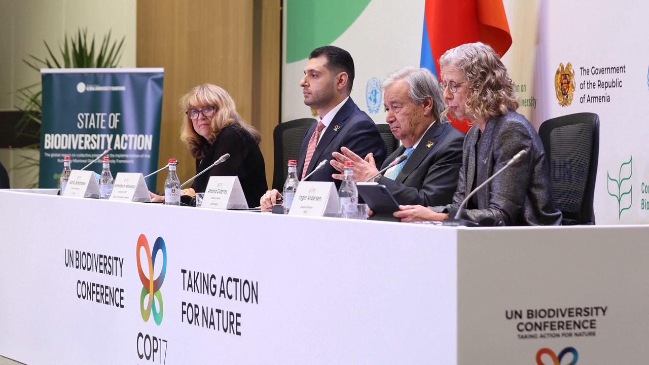 Video thumbnail for Armenia: Int'l biodiversity summit in Armenia calls for stronger global action to protect nature.
