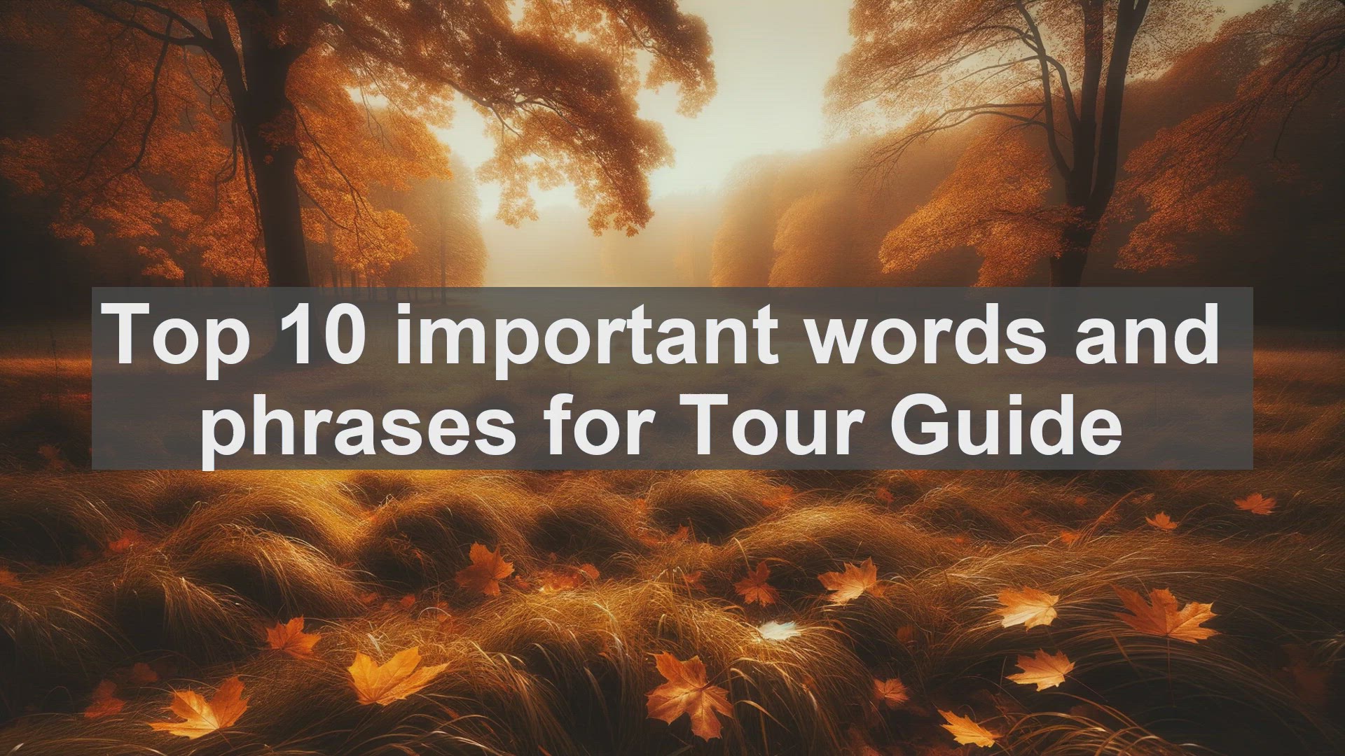'Video thumbnail for Top 10 important words and phrases for Tour Guide'