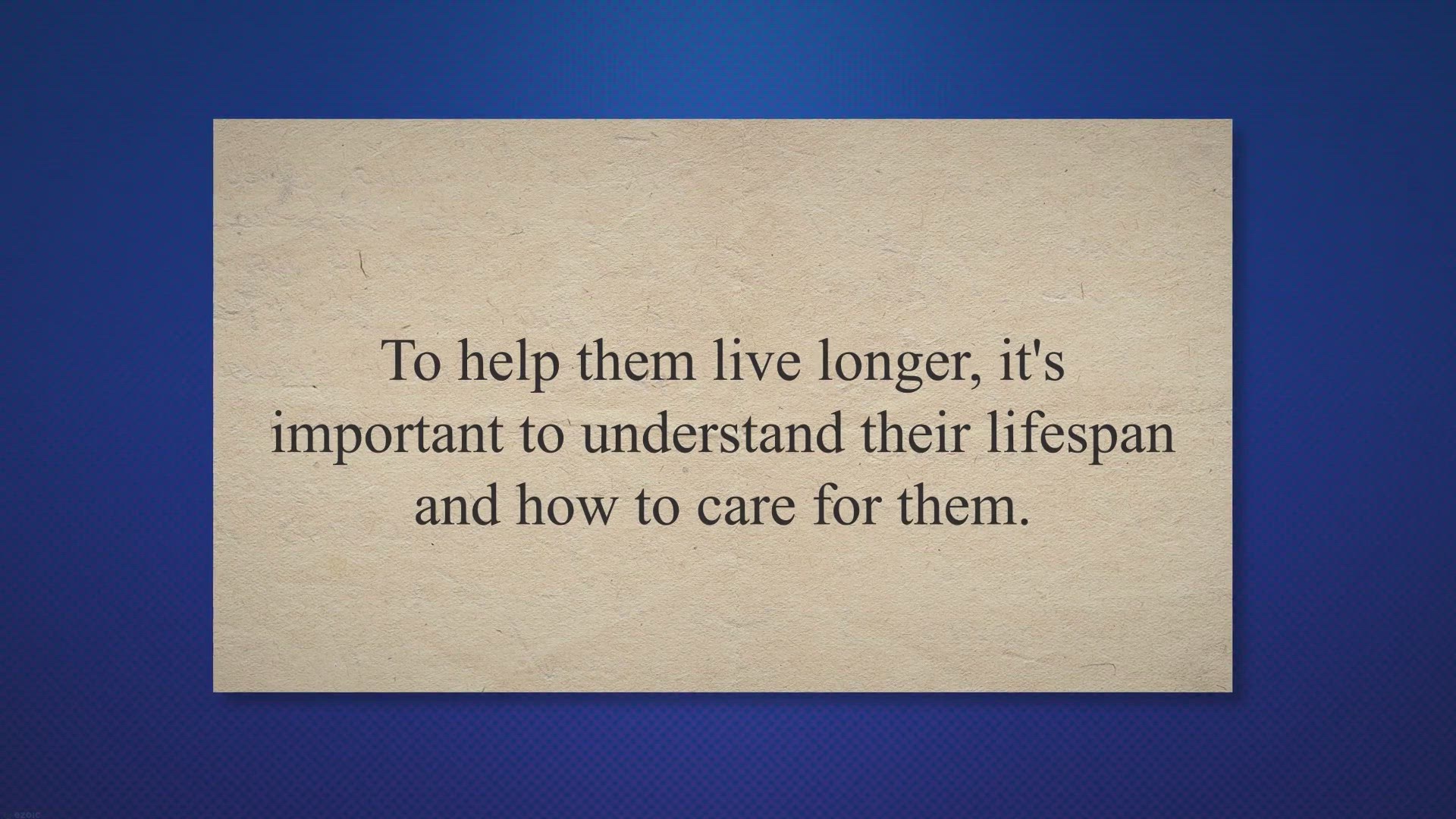 Video thumbnail for How long do backyard chickens live?