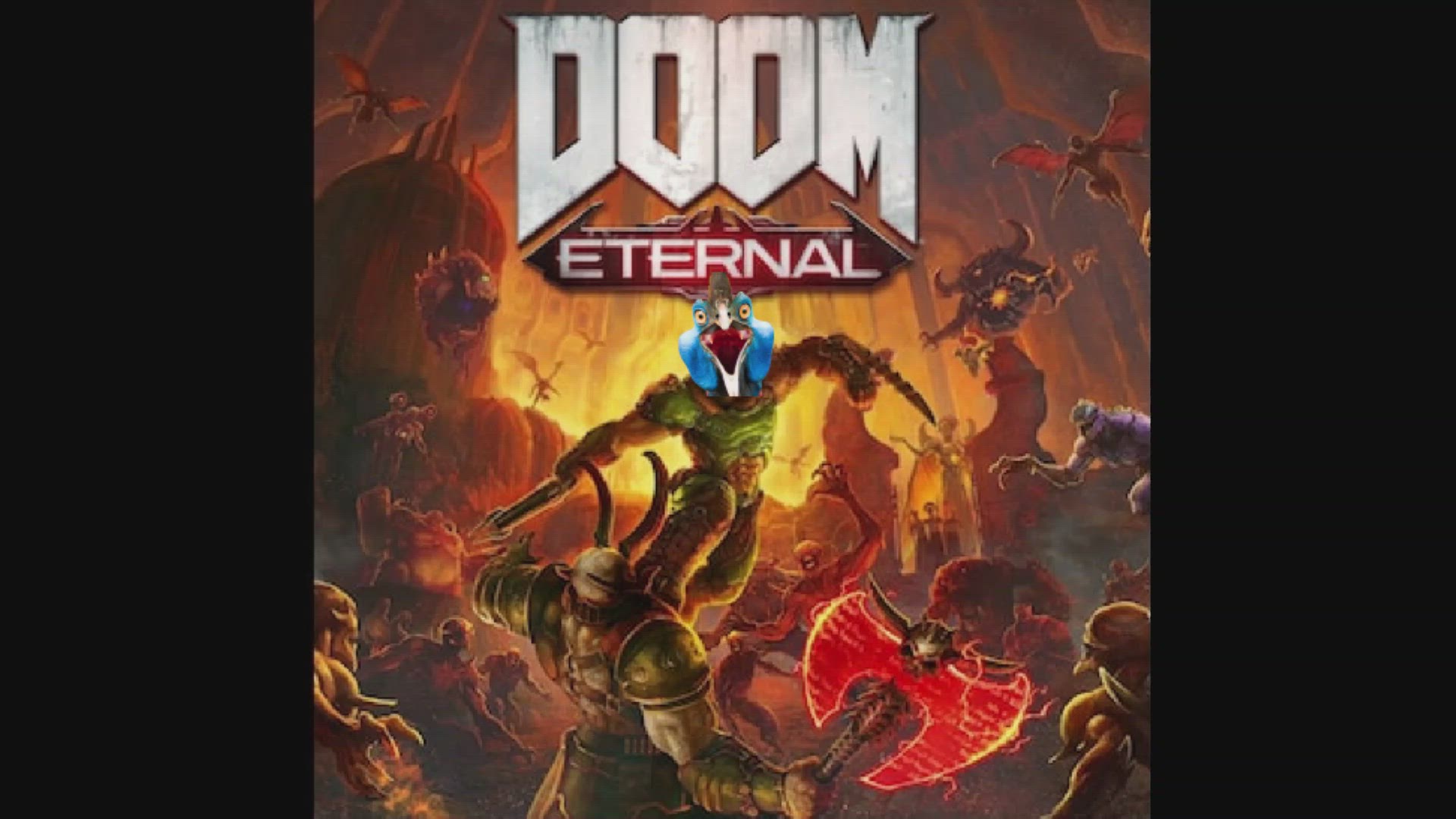 Video thumbnail for cassowary carnage