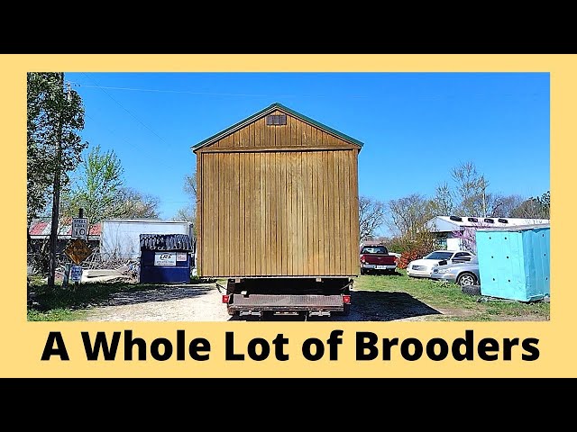 Video thumbnail for New Brooder Building