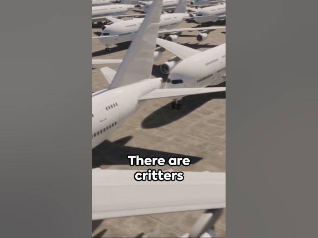 Video thumbnail for Unbelievable Facts under Ocean #facts #future #ocean #unbeleivable #reels #shorts #youtubeshorts