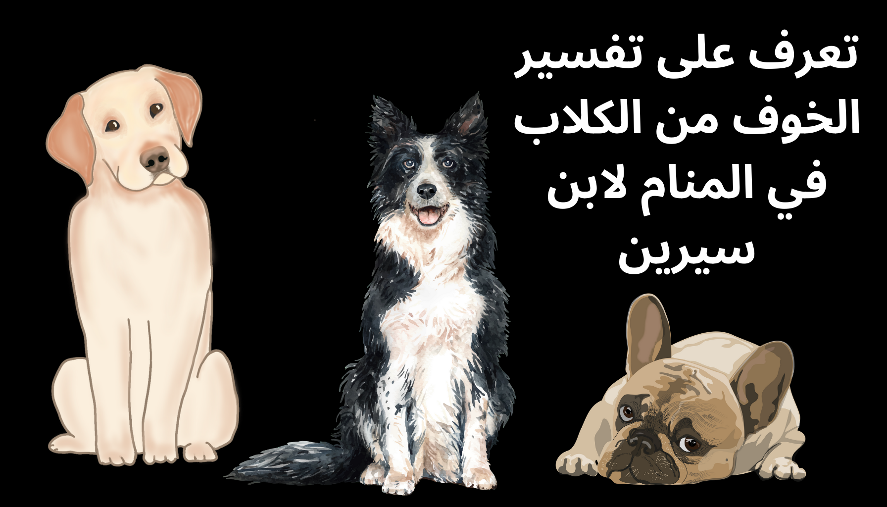 'Video thumbnail for تعرف على تفسير الخوف من الكلاب في المنام لابن سيرين'