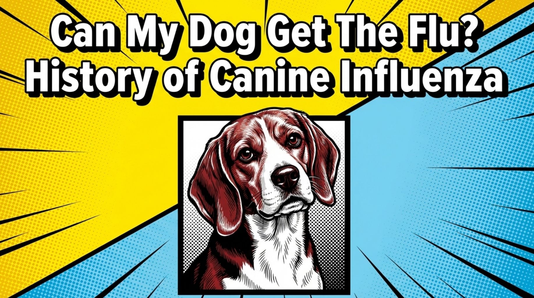 Video thumbnail for Can My Dog Get The Flu?