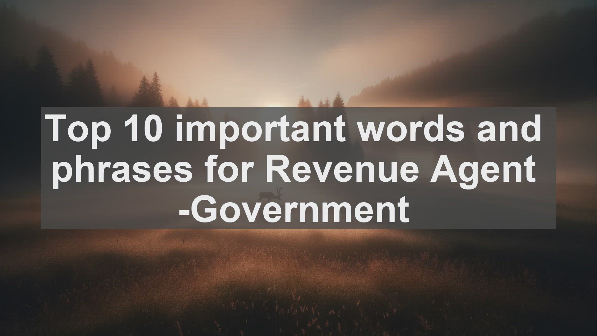 'Video thumbnail for Top 10 important words and phrases for Revenue Agent Government'