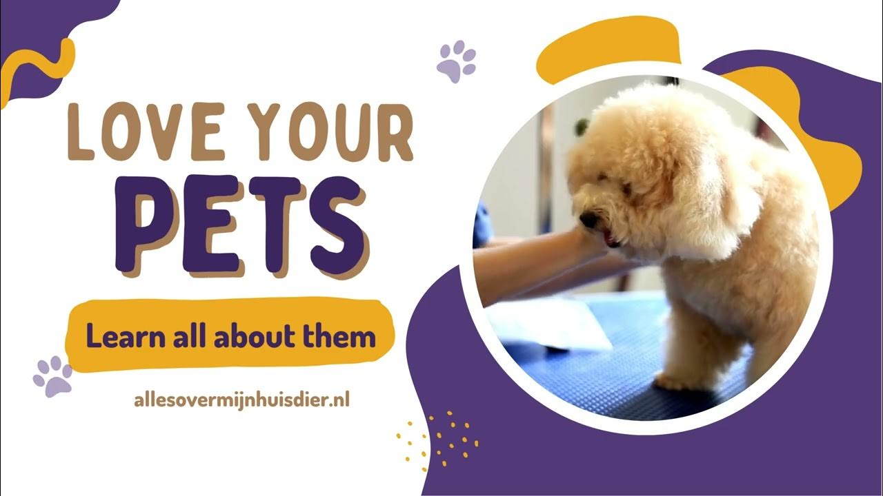 Video thumbnail for Embark on a journey to understand and care for our beloved pets