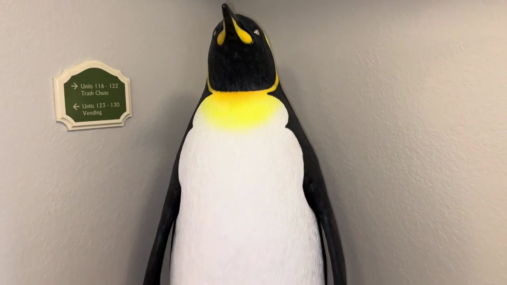 'Video thumbnail for SeaWorld Suite at Club Wyndham Bonnet Creek in Orlando'