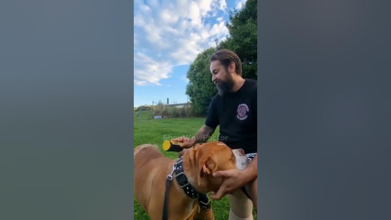 Video thumbnail for 🖐️🐾💆‍♀️ 3-in-1 Massage Comb Pet Removal Hair Brush 🐶💨💆‍♂️ || Link is in Description