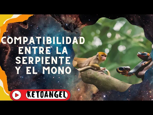 'Video playlist thumbnail'