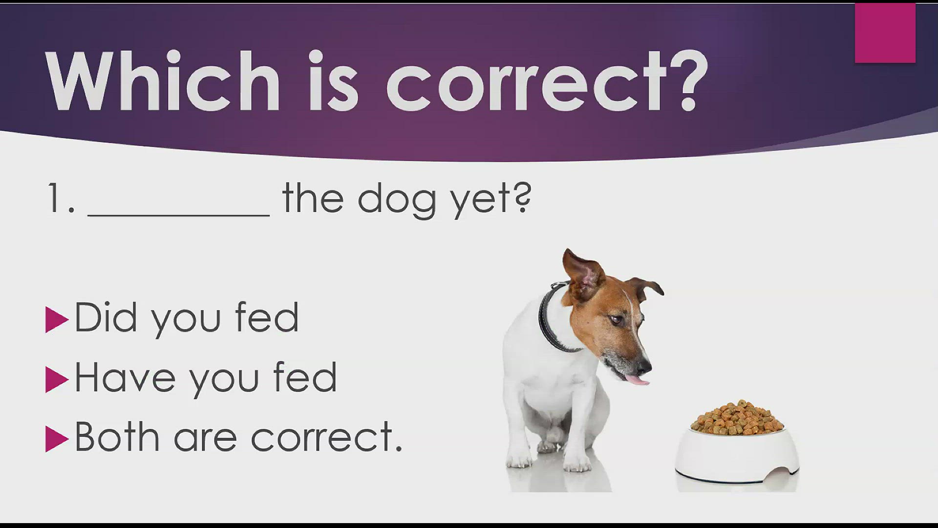 'Video thumbnail for Verbs like Feed'