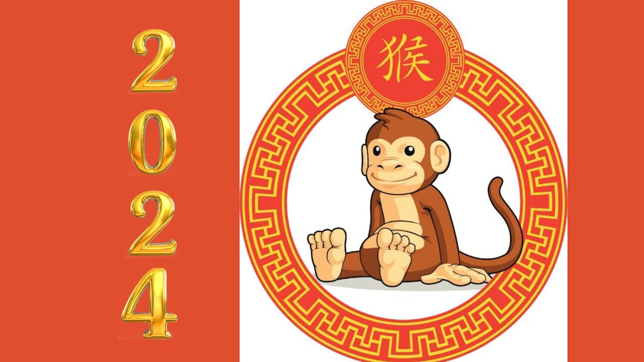 'Video thumbnail for Monkey lucky color 2024; video blog'