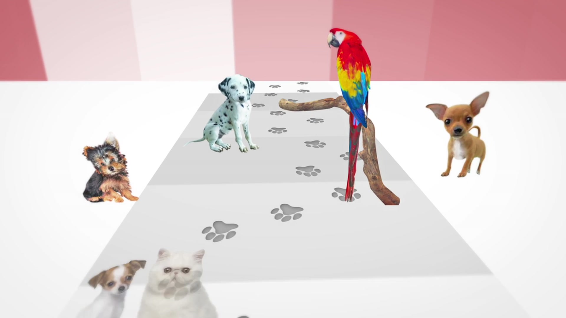 Video thumbnail for Video: CHICAGO Cast Member Kristen Faith Oei Introduces Her Puppy Pal, Easter