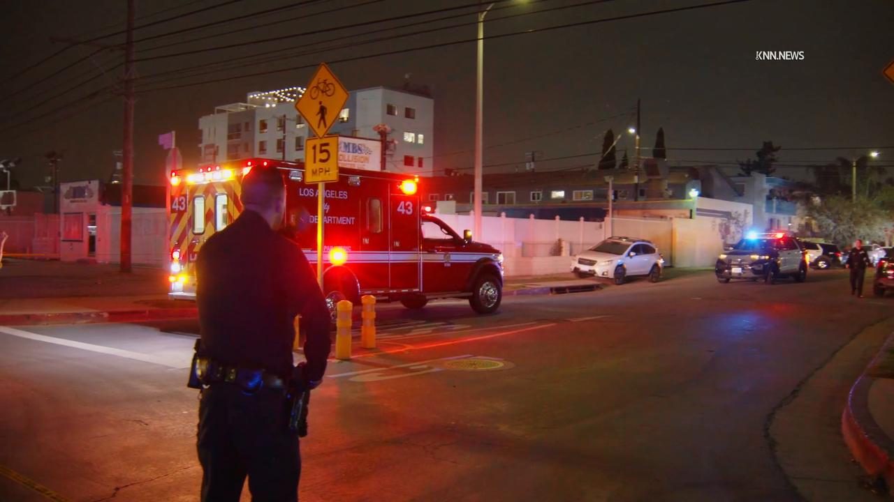 Video thumbnail for US, Los Angeles: Palms Suspect Shoots Himself While Pursued by LAPD.