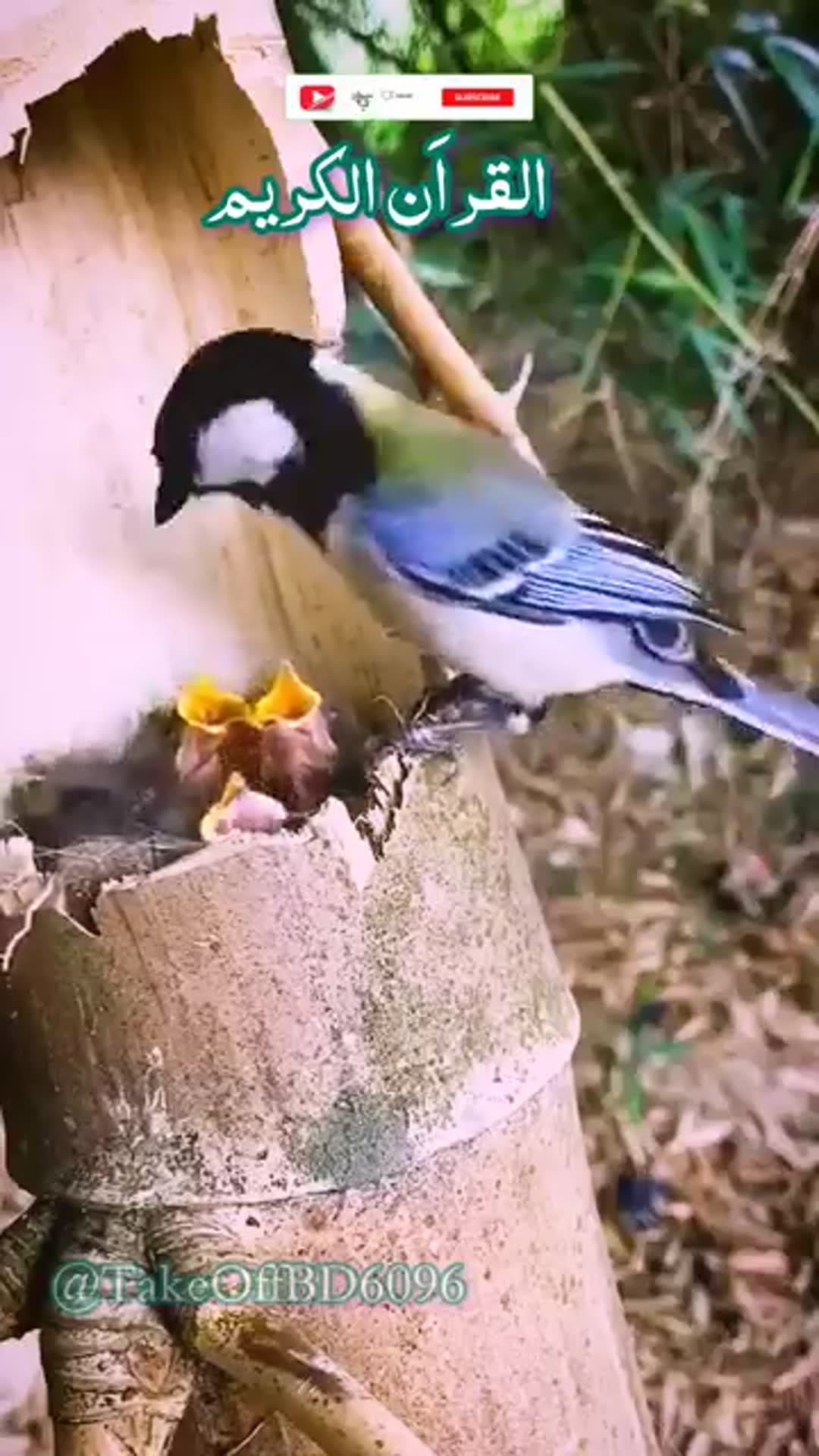 Video thumbnail for Surah-Al-ASR-Egzon-Ibrahimi-very-beautif_84