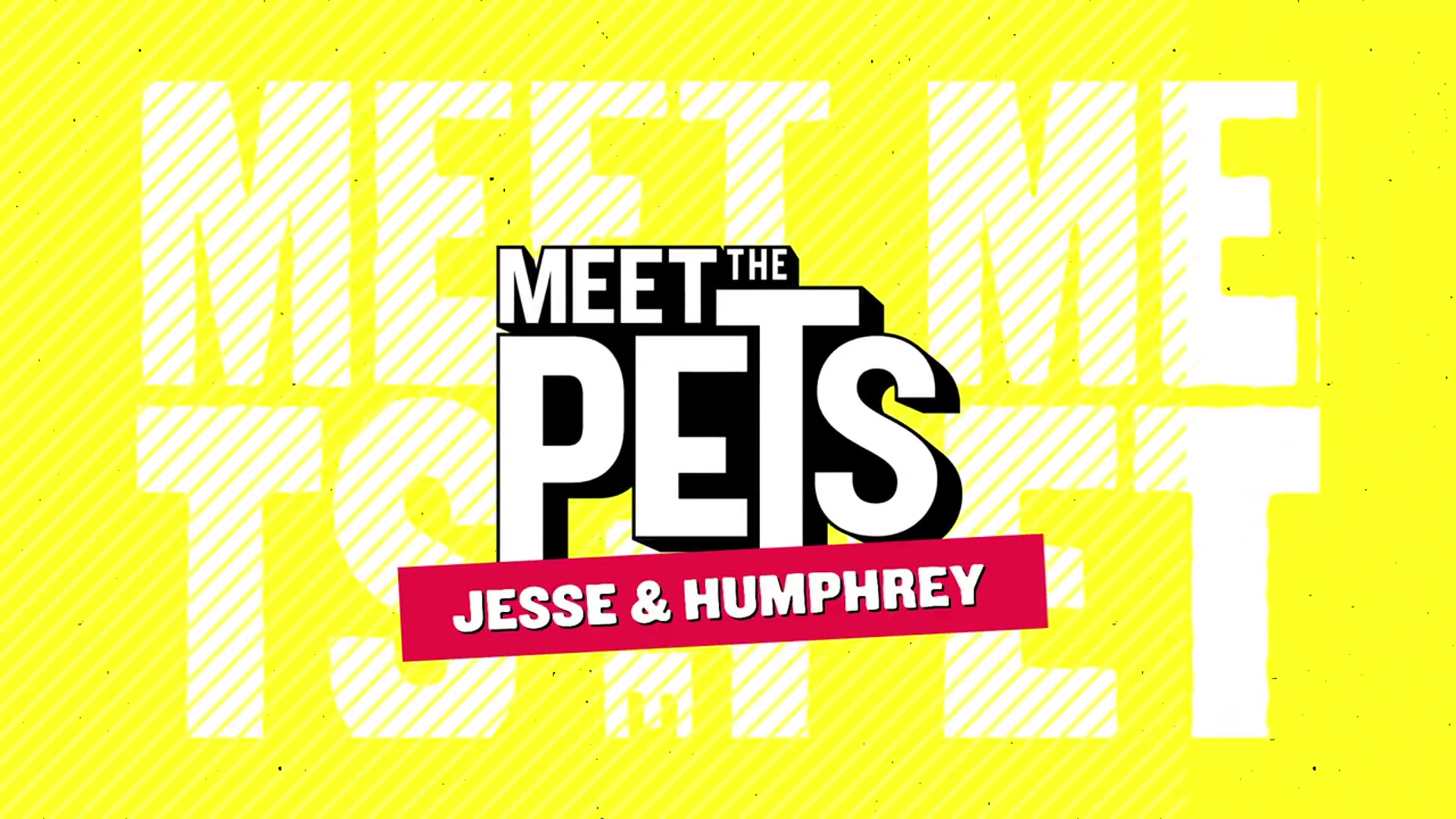 'Video thumbnail for 2HYPE’s Jesser Has The World’s Most ADORABLE Dog!'