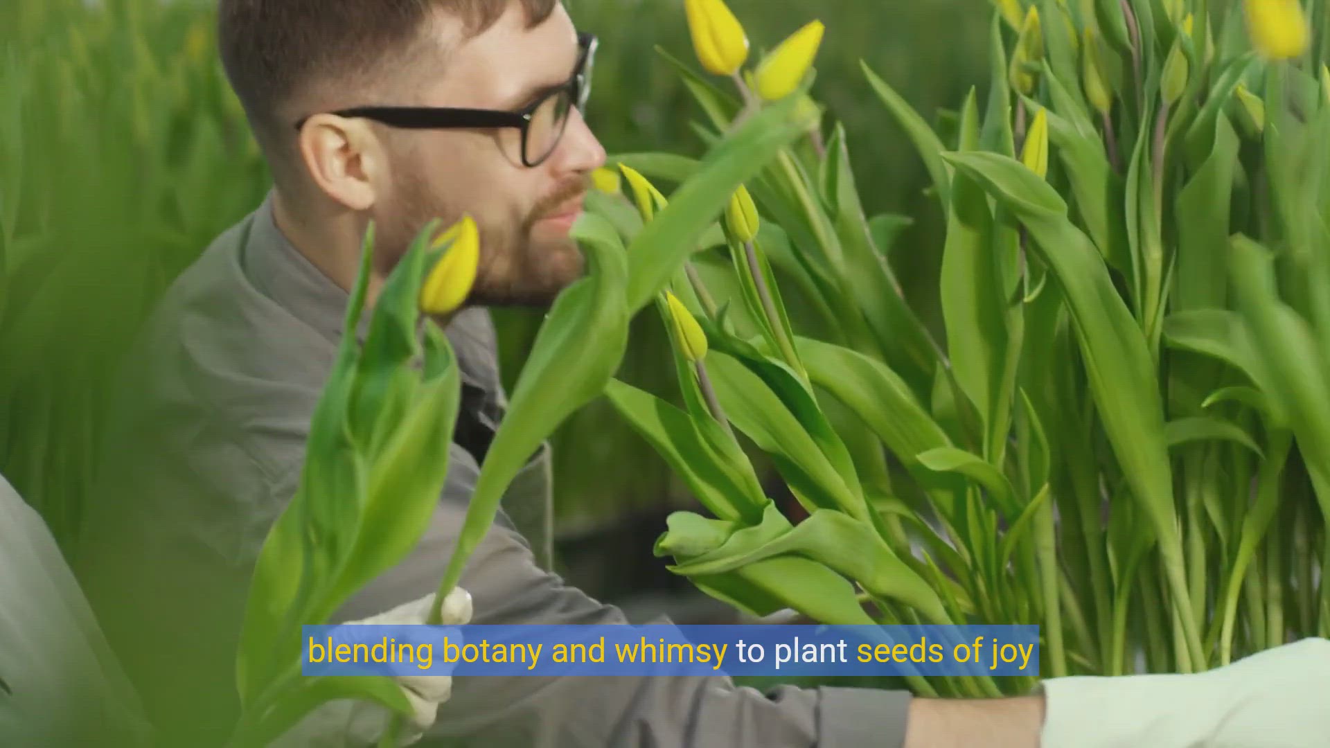 'Video thumbnail for Humorous Plant Titles: Finding Joy in Botanical Names'