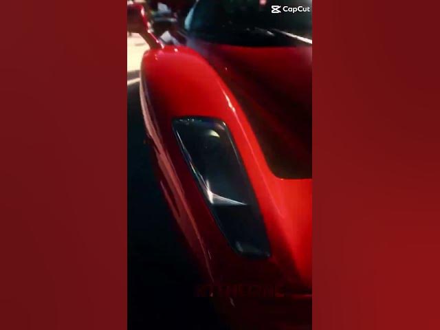 Video thumbnail for FLY HIGH FREE BIRD