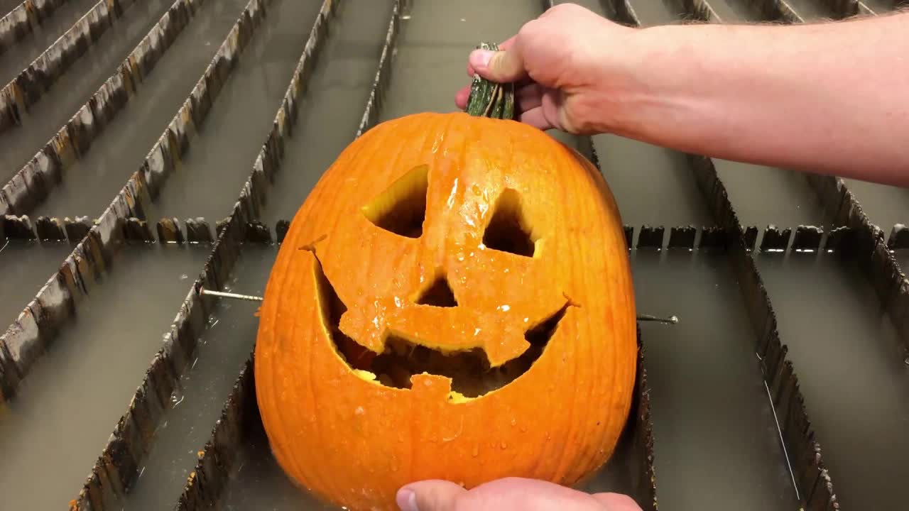 Video thumbnail for Carving a Pumpkin in Under 30 Seconds With A Waterjet - How to carve a pumpkin - Jack O Lantern